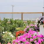 Vila Velonis With Private Pool And Sea View Agia Anna (Naxos)