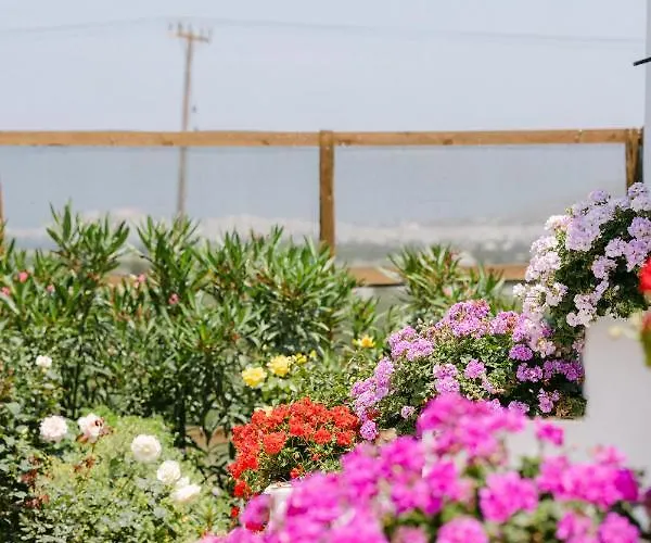 Вилла Velonis With Private Pool And Sea View Айя-Анна