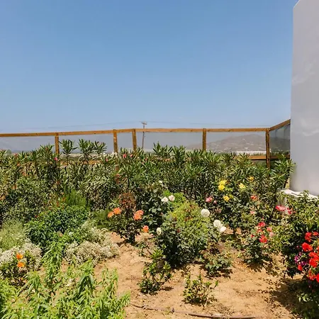 Velonis With Private Pool And Sea View 빌라 Agia Anna (Naxos)
