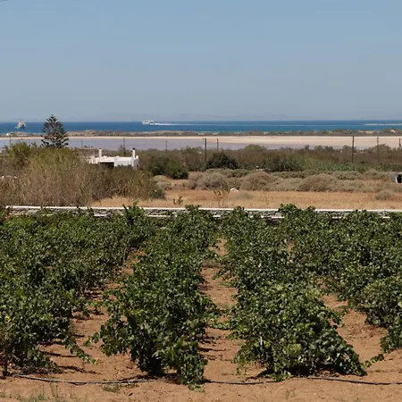 Velonis With Private Pool And Sea View Villa Agia Anna (Naxos)